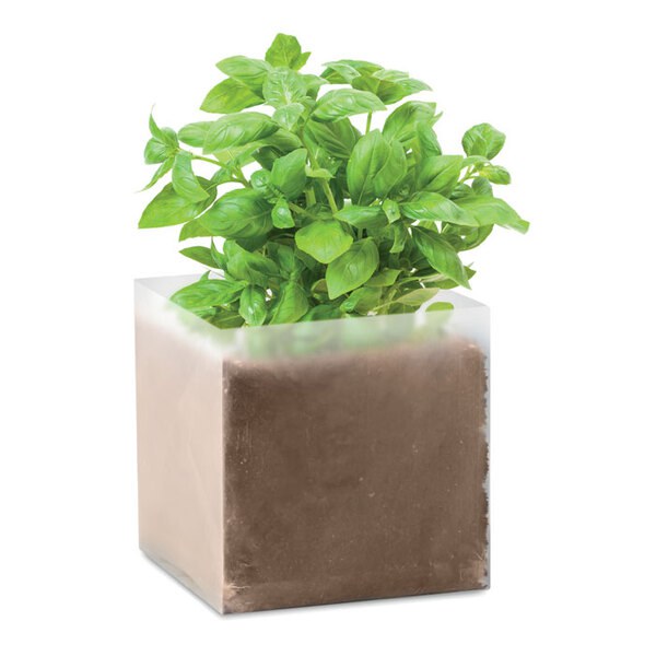 BASIL Zestaw do uprawy "Bazylia" - GiftRetail MO9545