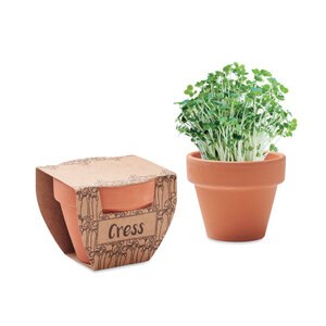 CRESS POT Nasiona rzeżuchy w doniczce - GiftRetail MO2219
