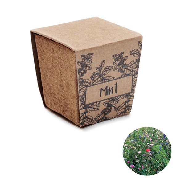MINT KIT Mint seeds growing kit - GiftRetail MO2410